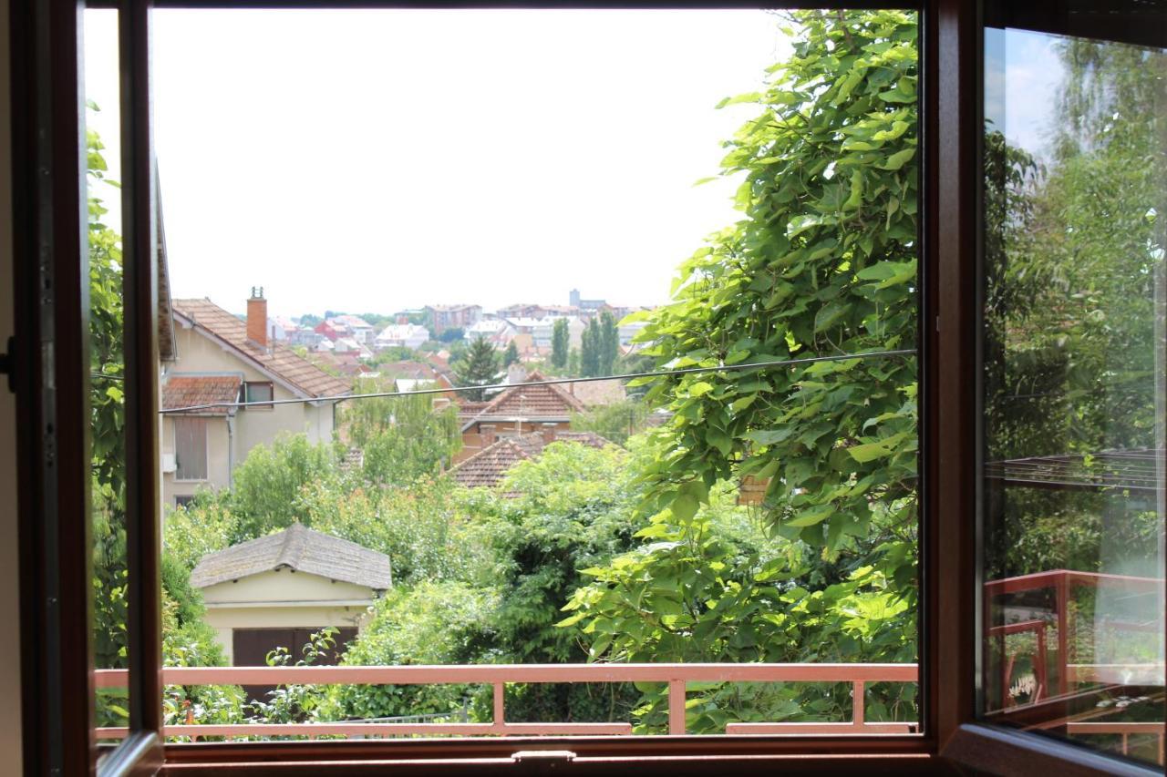 M Apartment Вршац Екстер'єр фото